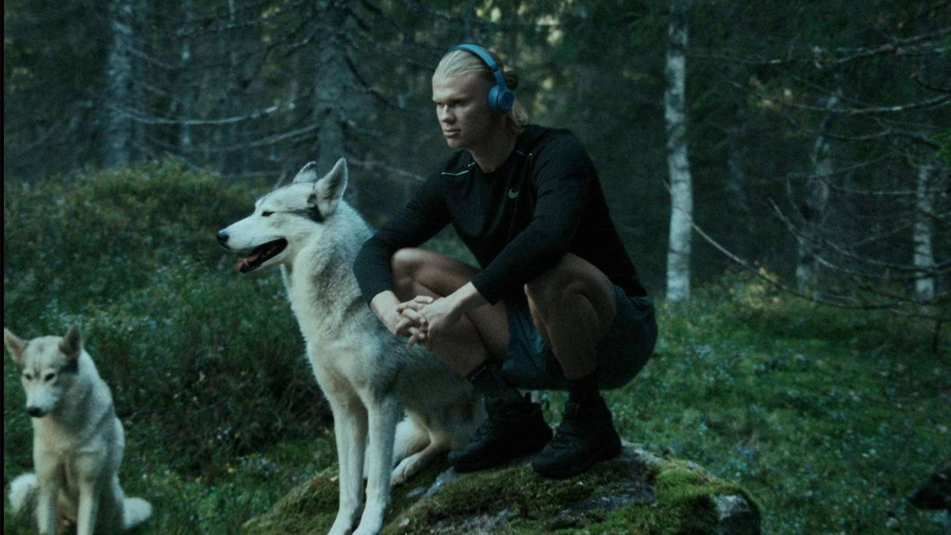 个方面展开 个方面展开