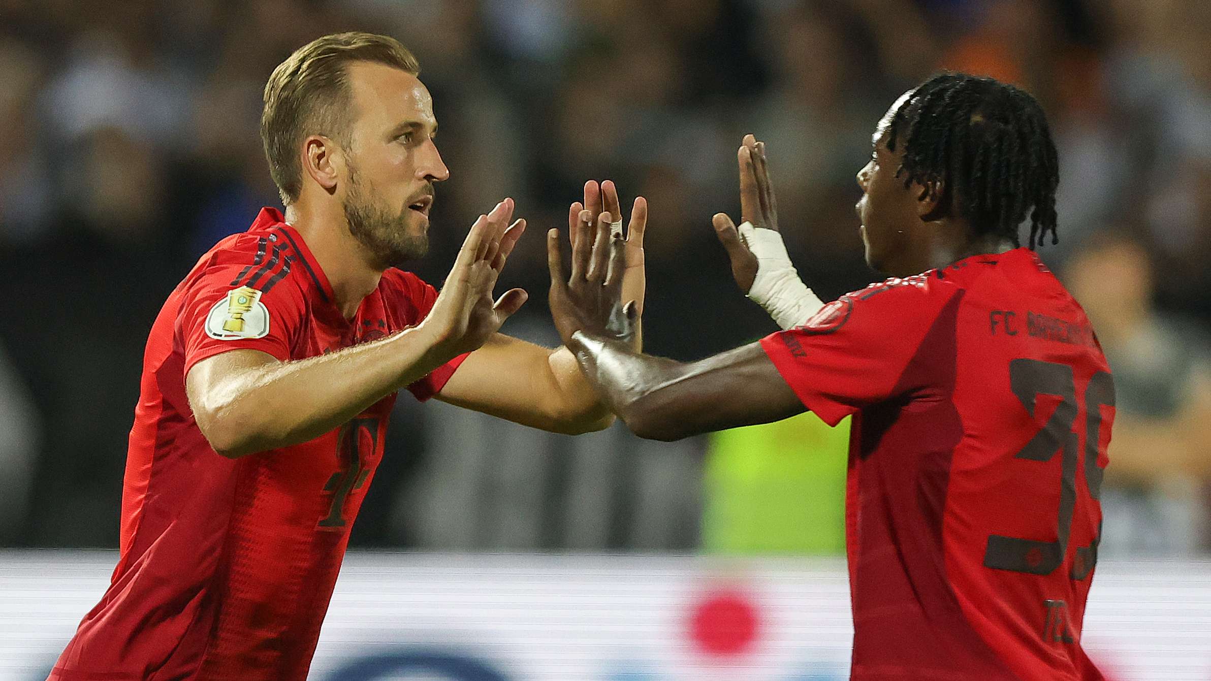 库拉索用实 库拉索用实